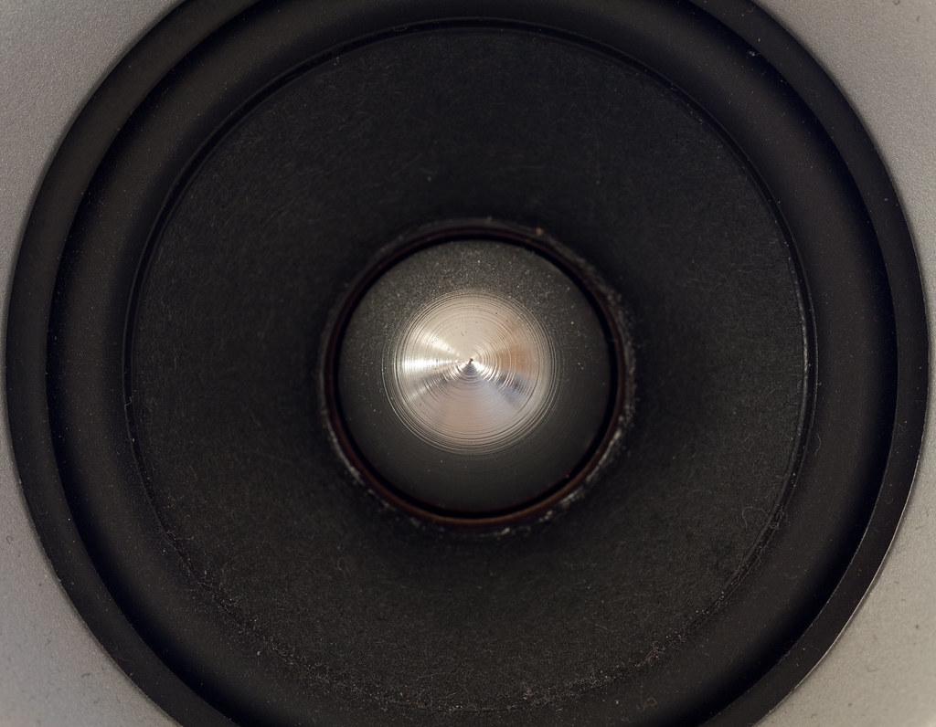 Membrane et dôme d'un haut-parleur vus de près, illustrant le domaine de l'audio et des enceintes acoustiques